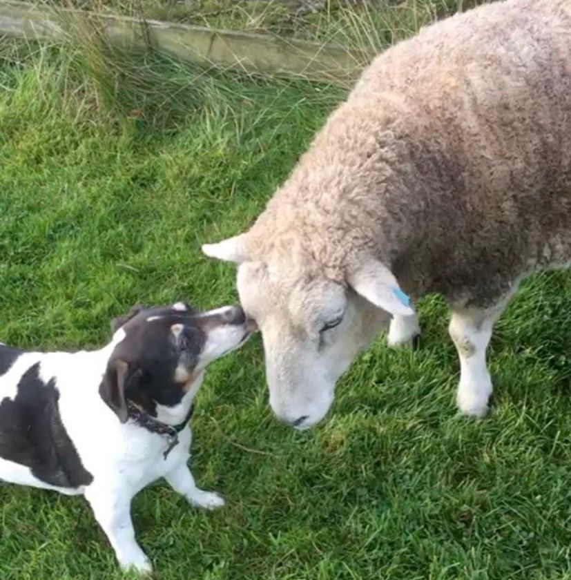 WhatsApp Image 2025-09-03 at 15.08.40 (1)