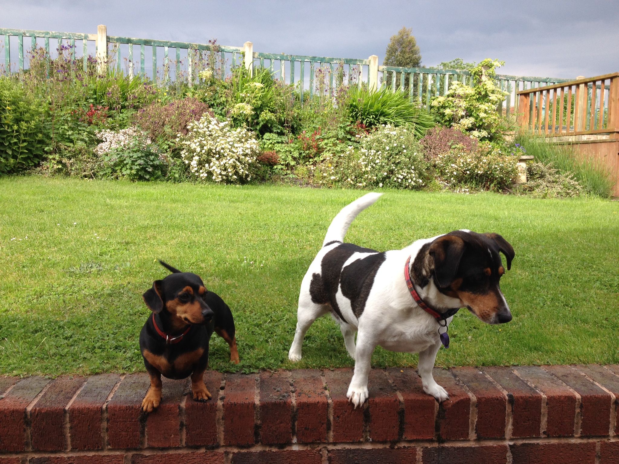 WhatsApp Image 2025-09-03 at 15.08.41